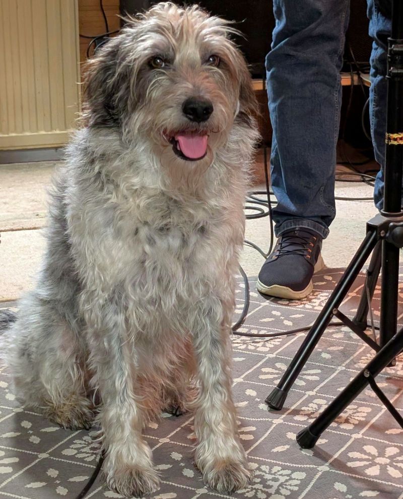 Im Proberaum am 22.12.25 - Fotos von Roswitha